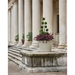 Vaso Eos-Teraplast Sale