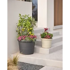 Vaso Eos-Teraplast Sale