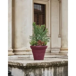 Vaso Festonato-Teraplast Best