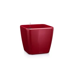 Vaso Quadro Premium 50 Set Completo-Lechuza Best