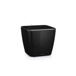 Vaso Quadro Premium 50 Set Completo-Lechuza Best