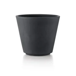 Vaso Ribeira-Teraplast Hot