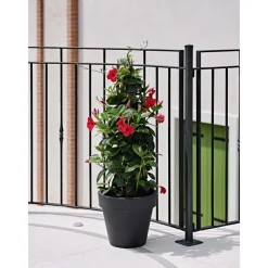 Vaso Standard One-Teraplast Clearance