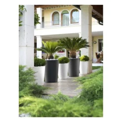 Vaso Zamora-Teraplast Hot