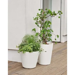 Vaso Zamora-Teraplast Hot