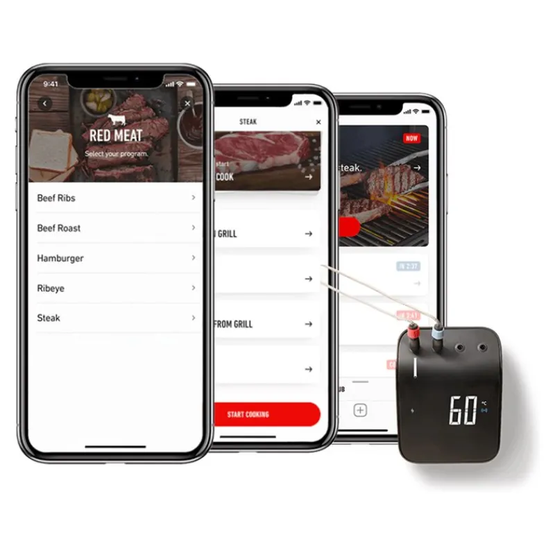 Connect Smart Grilling Hub Cod. 3202-Weber Discount